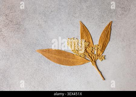 Getrockneter botanischer Zweig mit goldenem Blatt und Samenkorn auf grauer texturierter Oberfläche mit großem Kopierraum Stockfoto