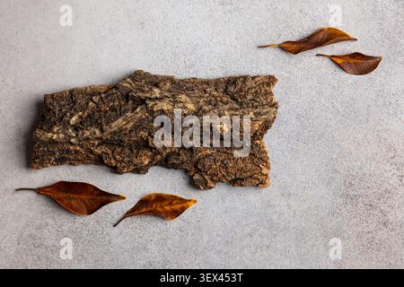 Rustikale Herbstkomposition mit Rinde und gefallenen Blättern auf grauer Oberfläche – von der Natur inspiriertes Design Stockfoto