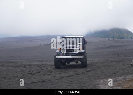 Klassischer dunkelblauer Geländejeep, der auf einem riesigen vulkanischen Sandmeer mit nebeligen Bergen unter bedecktem Himmel in Mount Bromo, Indonesien, steht. Stockfoto