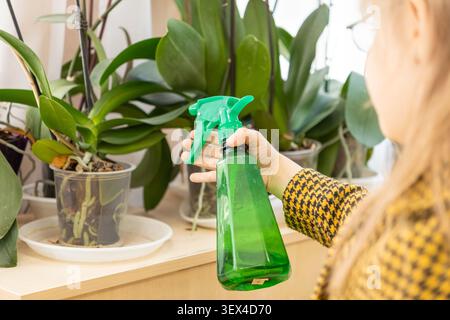 Nahaufnahme einer Hand mit einer grünen Sprühflasche, um üppige Orchideen auf einem Holzregal zu beschlagen und einen friedlichen Moment botanischer Pflege und Verstand festzuhalten Stockfoto