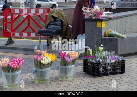 Kleiner Straßenverkäufer, der verschiedene bunte Tulpensträuße und Hyazinthen verkauft, die in klaren Eimern auf einem gepflasterten Stadtplatz angeordnet sind und die saisonale Jahreszeit symbolisieren Stockfoto