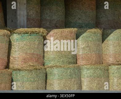 Ein Stapel zylindrischer Rundballen landwirtschaftlichen Heu, umwickelt in Schutznetze mit farbigen Streifen und gestapelt zur Lagerung. Stockfoto