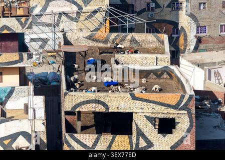 Ziegen ruhen auf einem bemalten Dach, Müllstadt (Dorf Moqattam), Kairo, Ägypten Stockfoto
