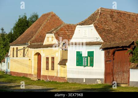 Rumänien, Siebenbürgen, Département (Judet) Brasov, Viscri, Fassaden traditioneller Häuser, die im 19. Jahrhundert von der Gemeinde der deutschen historischen, ethnischen und sprachlichen Minderheit erbaut wurden, die sich in Rumänien niederließ Stockfoto