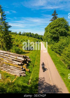Frankreich, Haute Saone, Motorradfahrer auf der Straße im Wald bei Coravilliers, Baumstämme (aus der Vogelperspektive) Stockfoto