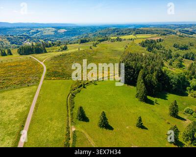 Frankreich, Haute Saone, Straße im Wald bei Amont et Effreney (Luftaufnahme) Stockfoto