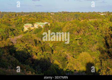 Frankreich, Guadeloupe, Grande-Terre, Deshauteurs, Häuser verloren in der Vegetation Stockfoto