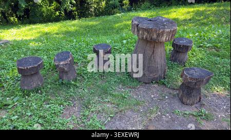 Ein handgefertigter Holztisch und fünf passende Holzhocker in Form von Pilzen sind auf einer grasbewachsenen Fläche in einem öffentlichen Park angeordnet Stockfoto