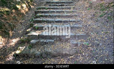 Eine alte Treppe aus grauen Steinblöcken führt zwischen zwei Schmutzbänken, bedeckt mit verstreuten gelben Baumkatzen und getrockneten Blättern Stockfoto