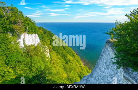 Weiße Kreidefelsen auf der Insel Rügen mit Blick auf das blaue Meer und die üppig grüne, bewaldete Küste an einem sonnigen Tag Stockfoto