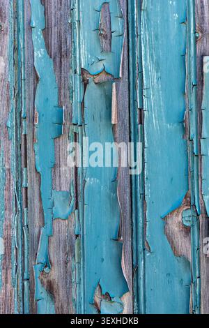 Vertikal verwitterter blaublauer Peeling-Lack auf alten Holzbrettern mit verdichteter Textur Stockfoto