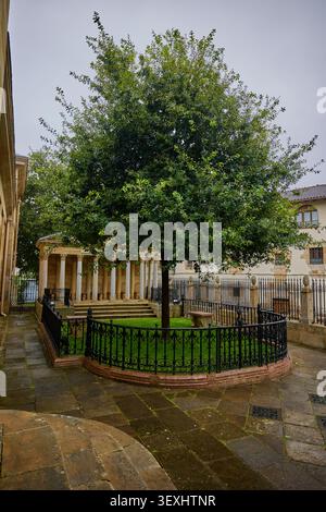 Der neue Baum von Gernika in Spanien. Diese Eiche symbolisiert traditionelle Freiheiten für das biskayanische Volk. Stockfoto