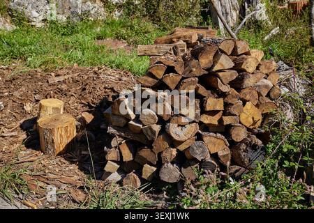 Gehacktes Feuerholz wird auf einem kleinen Stapel gestapelt. Herstellung von Brennholz zur Beheizung des Hauses. Hintergründe und Texturen aus gehacktem Brennholz. Stockfoto