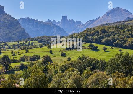 Panoramablick auf das Tal vor dem Berg PICU Urriellu vom Aussichtspunkt in Asturien, Spanien Stockfoto