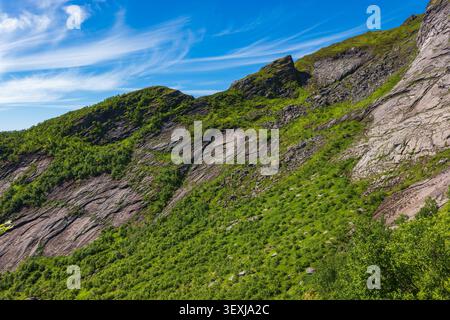 Dramatische felsige Berghänge, bedeckt mit lebhafter grüner Vegetation unter klarem blauem Himmel in Lofoten. Steile geschichtete Felsformationen mit Stockfoto