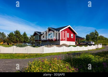 Bezauberndes rot-weißes skandinavisches Haus mit weißem Pfahlzaun umgeben von Wildblumen in Lofoten. Heller, sonniger Tag mit klarem Blau Stockfoto