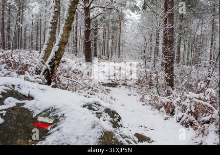 Markierter Wanderweg am Standort Rochers d'Angennes, Wald von Rambouillet im Schnee in der Nähe von Poigny-la-Foret, Haute Vallee de Chevreuse Regional Natur Stockfoto