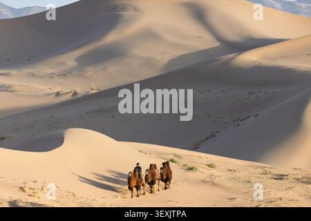 Kamelreiter werfen lange Schatten, während sie die Khongor Sanddünen bei Sonnenuntergang in der Wüste Gobi überqueren Stockfoto