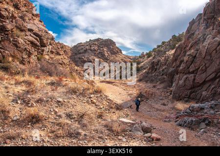 Einsame Wanderin auf einem Pfad durch eine steile Schlucht, der zu einem Zugangspunkt für die Royal Gorge in der Nähe von Cañon City, Colorado, USA, führt. Stockfoto
