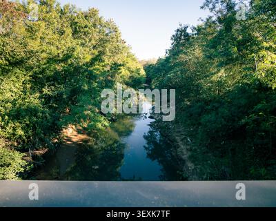 Der Fluss fließt zwischen hohen grünen Bäumen. Sonnenlicht filtert durch dichtes Laub. Blick von einer Brücke auf den Wasserweg. Ruhige, natürliche Landschaft ideal Stockfoto