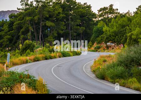 Kurvenreiche Bergstraße schlängelt sich durch Kiefernwälder und Grünflächen Stockfoto