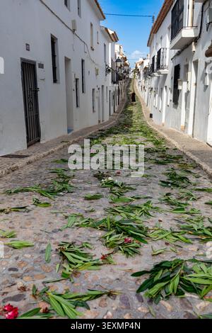 Eine typische Straße im historischen Zentrum von Altea, Alicante, Spanien, mit Ästen und Blättern auf dem Boden nach den Fronleichnamsfeiern Stockfoto