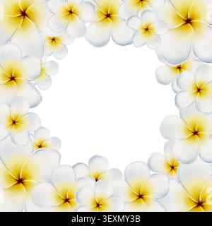 Plumeria-Aquarellrahmen mit tropischen Blumen für Hochzeitseinladungen, Grußkarten, Verpackungen, Branding, Briefpapier, Banner, elegante Sommerdekorationen und saisonale Designprojekte. Stockfoto