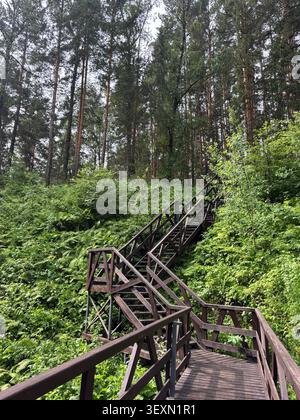 SIBIRIEN, RUSSLAND - JUNI 2026: Zickzack Holztreppe durch dichten Kiefernwald mit Farnen, Stolby Naturreservat. Infrastruktur für Naturlehrpfade Stockfoto