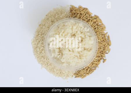Gekochter weißer Reis in klarer Schüssel, umgeben von ungekochtem Reis und Reis Paddy-Körnern Stockfoto