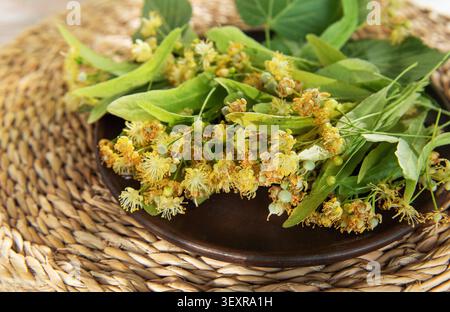 Lindenblüten und Blätter für natürlichen Kräutertee auf einer gewebten Matte gesammelt Stockfoto