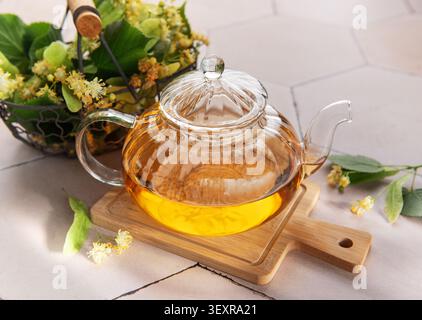 Linden Kräutertee-Infusion in einer klaren Teekanne mit frischen Blüten vorbereiten Stockfoto