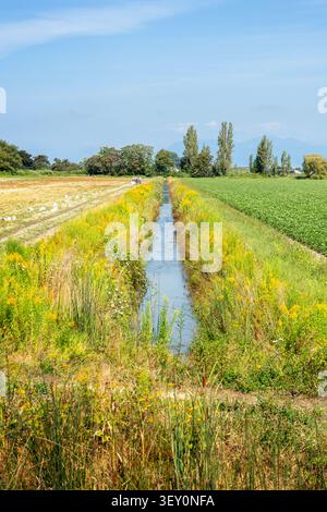 Farm Fields Bewässerung Wassergraben Stockfoto