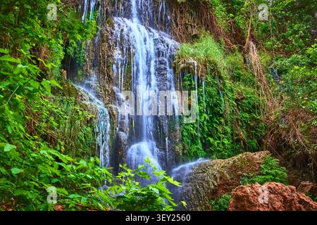 Wasserfall über Mossy Rocks im üppigen Green Forest Arizona Stockfoto