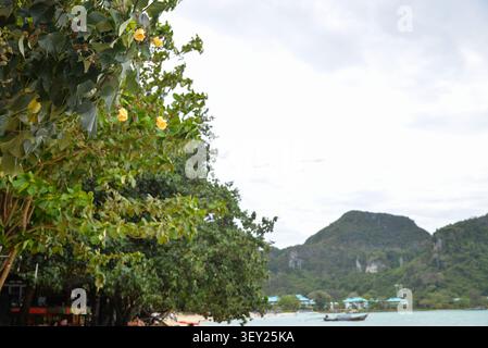 Phi Phi Inseln, Thailand – 18. Mai 2026: Tropische Küstenvegetation umrahmt die Kalksteinhügel der Phi Phi Don Insel Stockfoto