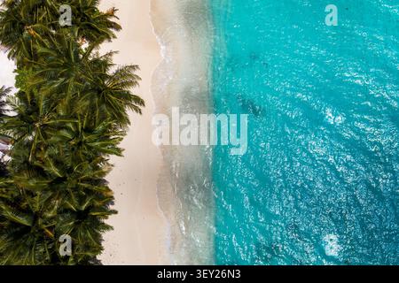 Luftlinie der Dhigurah Island Malediven mit Palmen und Lagune Stockfoto