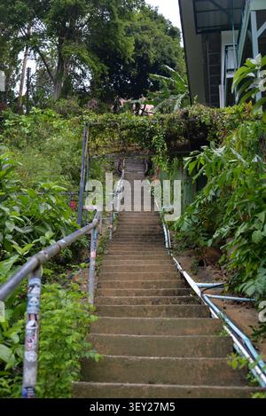 Phi Phi Inseln, Thailand – 18. Mai 2026: Treppe zum Aussichtspunkt Phi Phi am Ko Phi Phi Don Stockfoto