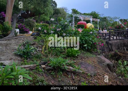 Phi Phi Inseln, Thailand – 18. Mai 2026: Tropischer Garten in der Nähe des Phi Phi Aussichtspunktes am Ko Phi Phi Don Stockfoto