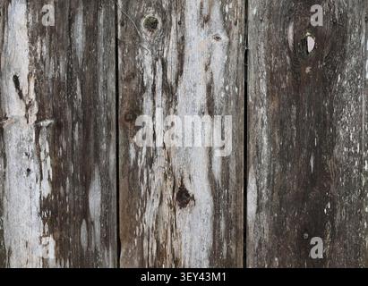 Horizontale Nahaufnahme der wetterbedrängten Zaunoberfläche aus wiedergewonnenem Holz mit erhöhter Körnung, gerissenen, unebenen Brettern Stockfoto