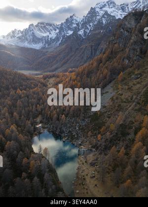 Blick aus der Vogelperspektive auf die Alpe Devero mit einem ruhigen Bergsee umgeben von goldenen Lärchenwäldern und dramatischen schneebedeckten Berggipfeln auf der Alpe Devero, P Stockfoto