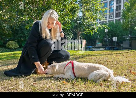 Die junge Frau in schwarzem Outfit verwöhnt sanft ihren flauschigen weißen Hund, der auf dem grünen Gras in einem hellen Stadtpark liegt Stockfoto