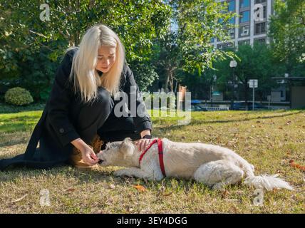 Die junge Frau in schwarzem Outfit verwöhnt sanft ihren flauschigen weißen Hund, der auf dem grünen Gras in einem hellen Stadtpark liegt Stockfoto