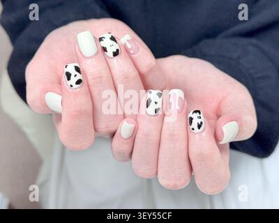 Zwei Hände zeigen eine Gel-Maniküre mit Kuhmuster, weißer Basis, schwarzen Punktmustern und Milch-Tropfen-Akzenten auf mehreren Nägeln, vor einem dunklen Marinejackenhintergrund, in einem Nagelstudio. Stockfoto