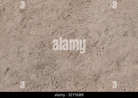 Nahaufnahme einer strukturierten Bodenoberfläche mit kleinen Steinen, getrockneten Pflanzenstoffen, getrocknetem Gras und feinem Sand. Stockfoto