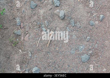 Eine Nahansicht einer strukturierten Oberfläche aus kleinen grauen Steinen, Kies und rötlich-braunem Boden von oben nach unten. Die natürliche Bodenstruktur ist robust und rau. Stockfoto