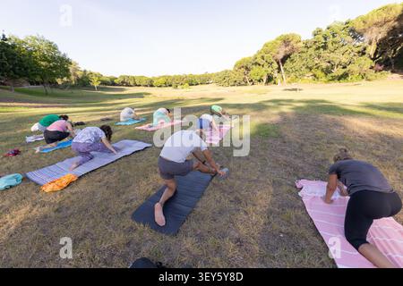 Gruppe übt Yoga, die sich im Park im Freien ausdehnt Stockfoto