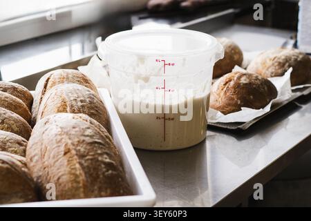 Aktivweizen-Sauerteig-Vorspeise in Behälter mit handwerklichem Brot Stockfoto