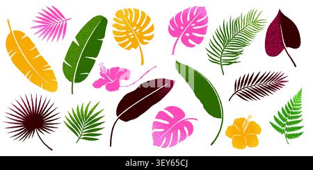 Handgezeichnetes, strukturiertes Set mit tropischen Blättern. Botanische Sammlung Von Palmen, Monstera, Bananenblättern. Abbildung des isolierten Vektors. Stock Vektor