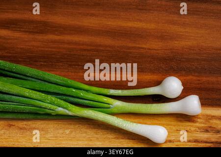 Auf einem horizontalen Nahaufnahme-Foto sind drei frische, junge grüne Zwiebeln (Zwiebeln oder Frühlingszwiebeln) mit leuchtend grünen Stielen und einer kleinen weißen Birne zu sehen Stockfoto