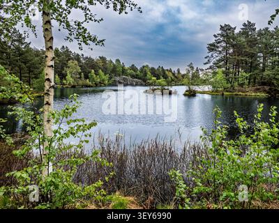 Ruhiger See umgeben von dichtem grünen Wald unter einem bewölkten Himmel mit ruhiger Wasserspiegelung Stockfoto