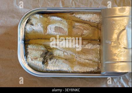Offene Dose Sardinenkonserven in Olivenöl Stockfoto